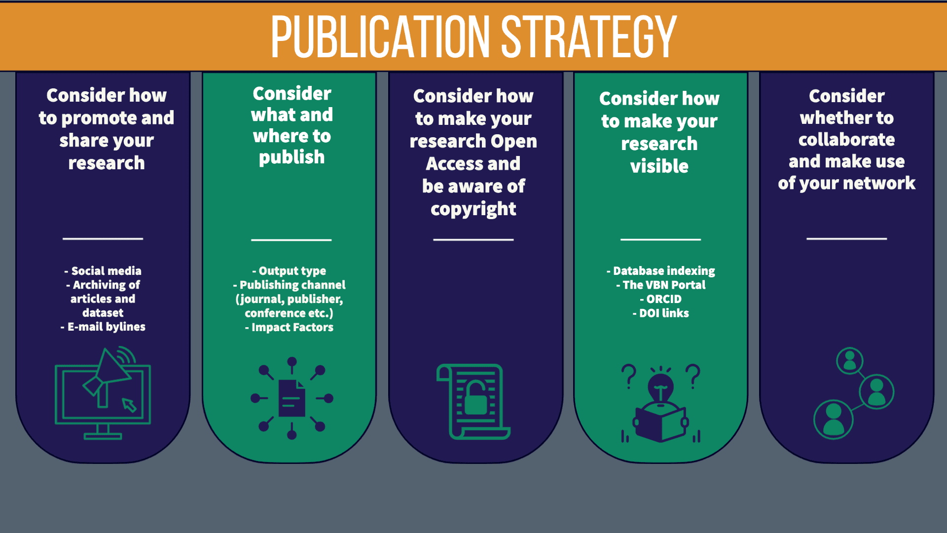 Publication strategy visualization